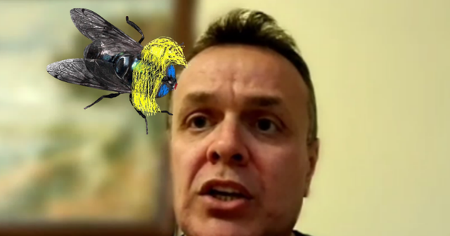 “Mizat” përgjuese në Shqipëri, minidronë që fluturojnë për 2 orë”/ Çfarë po paralajmëron profesori Ervin Karamuço?
