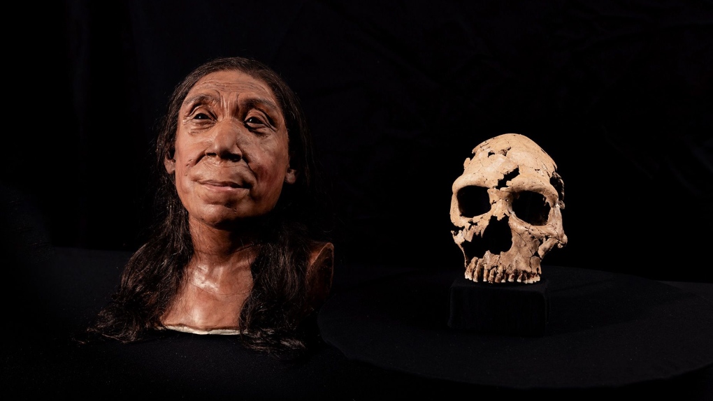 Jetoi 75,000 vjet më parë, shkencëtarët rindërtojnë fytyrën e Neandertalit!