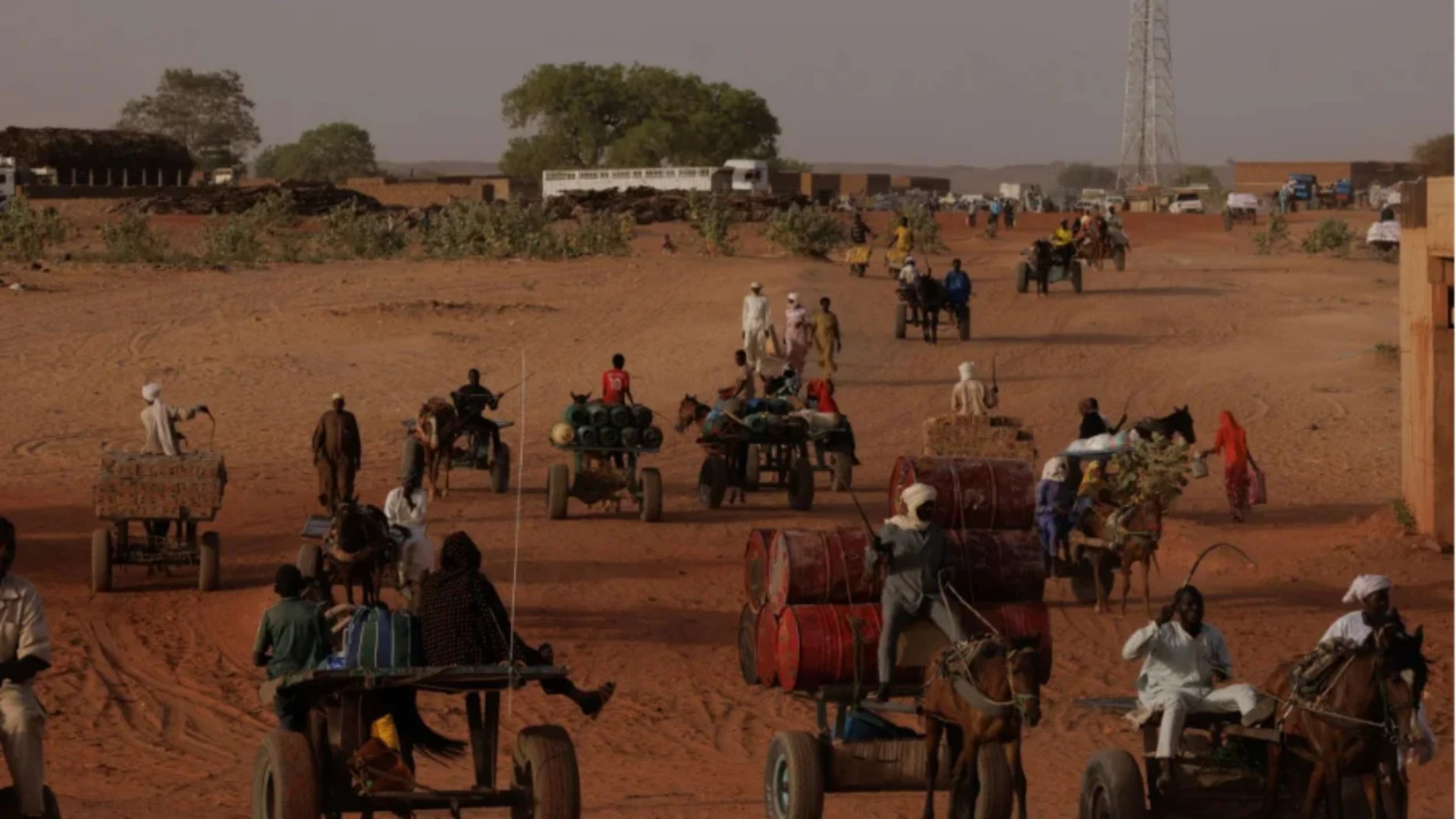 “Njerëzit po ushqehen me bar dhe lëvozhga kikiriku”, OKB: “Kriza e urisë ka përfshirë Sudanin e shkatërruar nga lufta”!