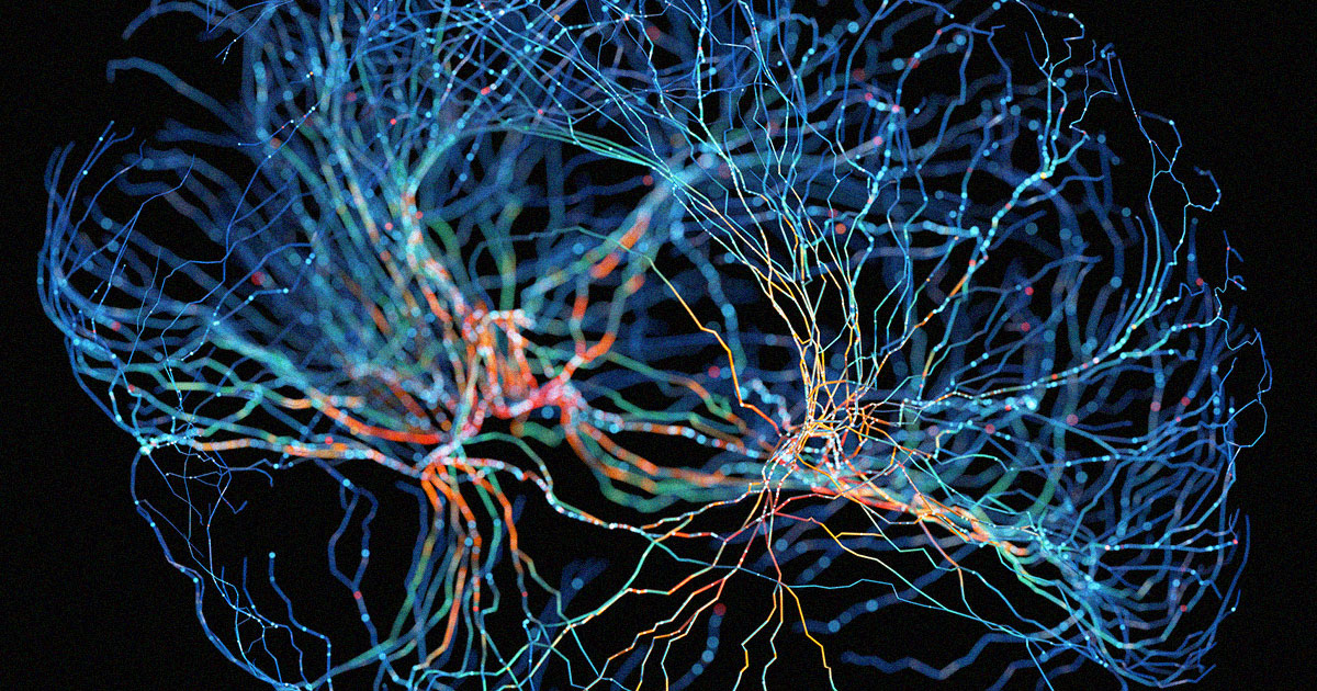 Studiuesit krijojnë rindërtimin më të madh 3D të një pjese të trurit!